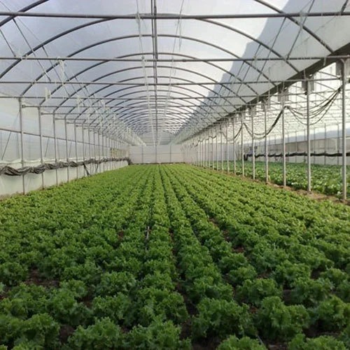 Hydroponics Solutions
